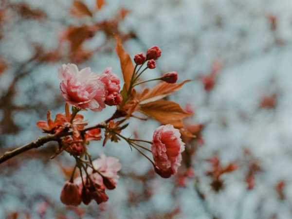 Au-delà de l’obstacle